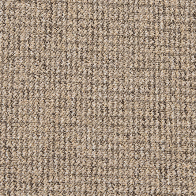Craft Beige