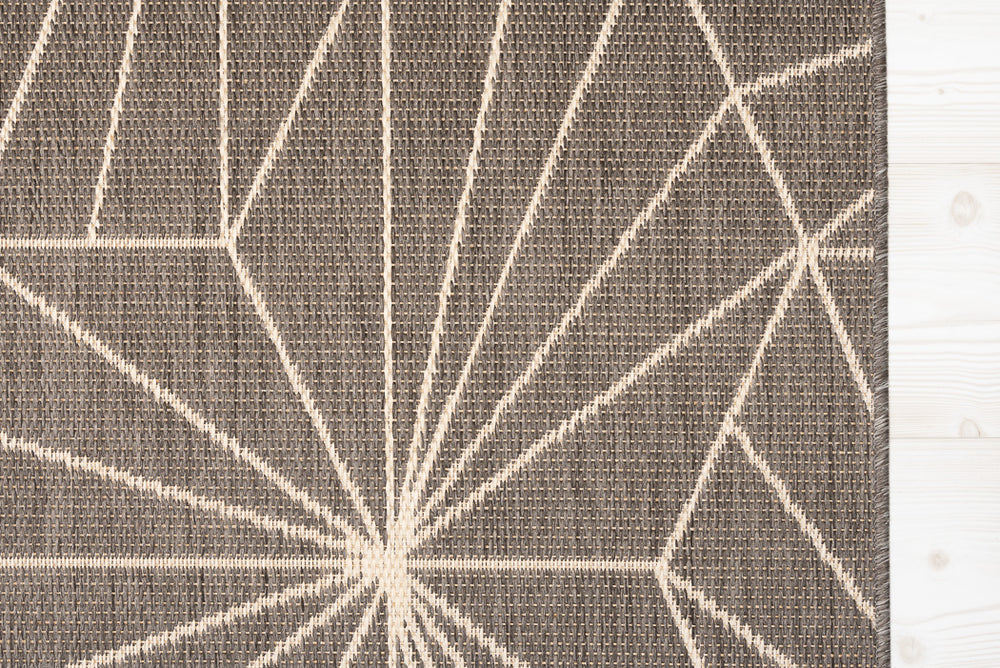 Spider Silver