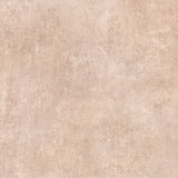 Plain Beige
