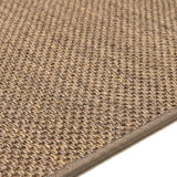 Sisal Panama X Earth