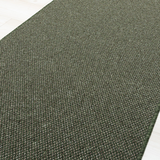 Forte Green